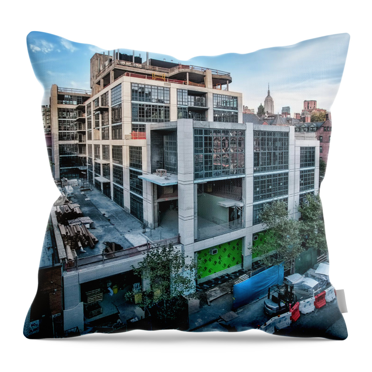  Throw Pillow featuring the photograph 500 W21st Oct2014 by Steve Sahm