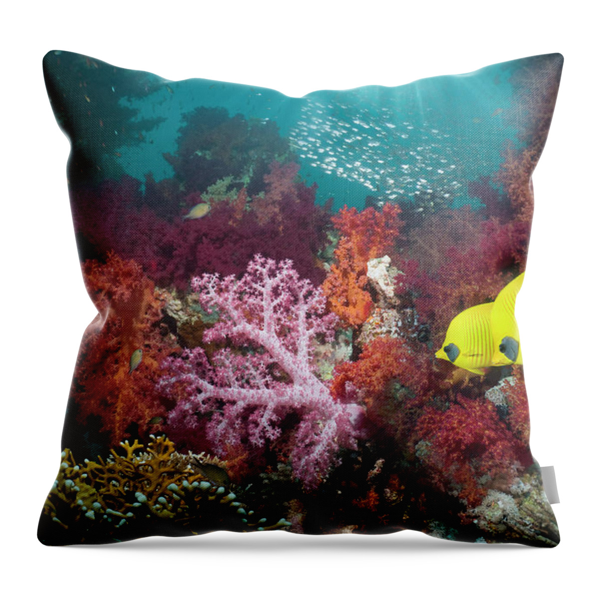 Tranquility Throw Pillow featuring the photograph Coral Reef Scenery #51 by Georgette Douwma