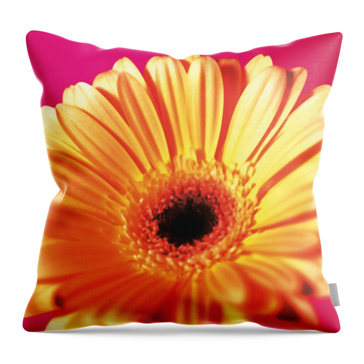 Petal Throw Pillow featuring the photograph Organic #55 by Michael Banks