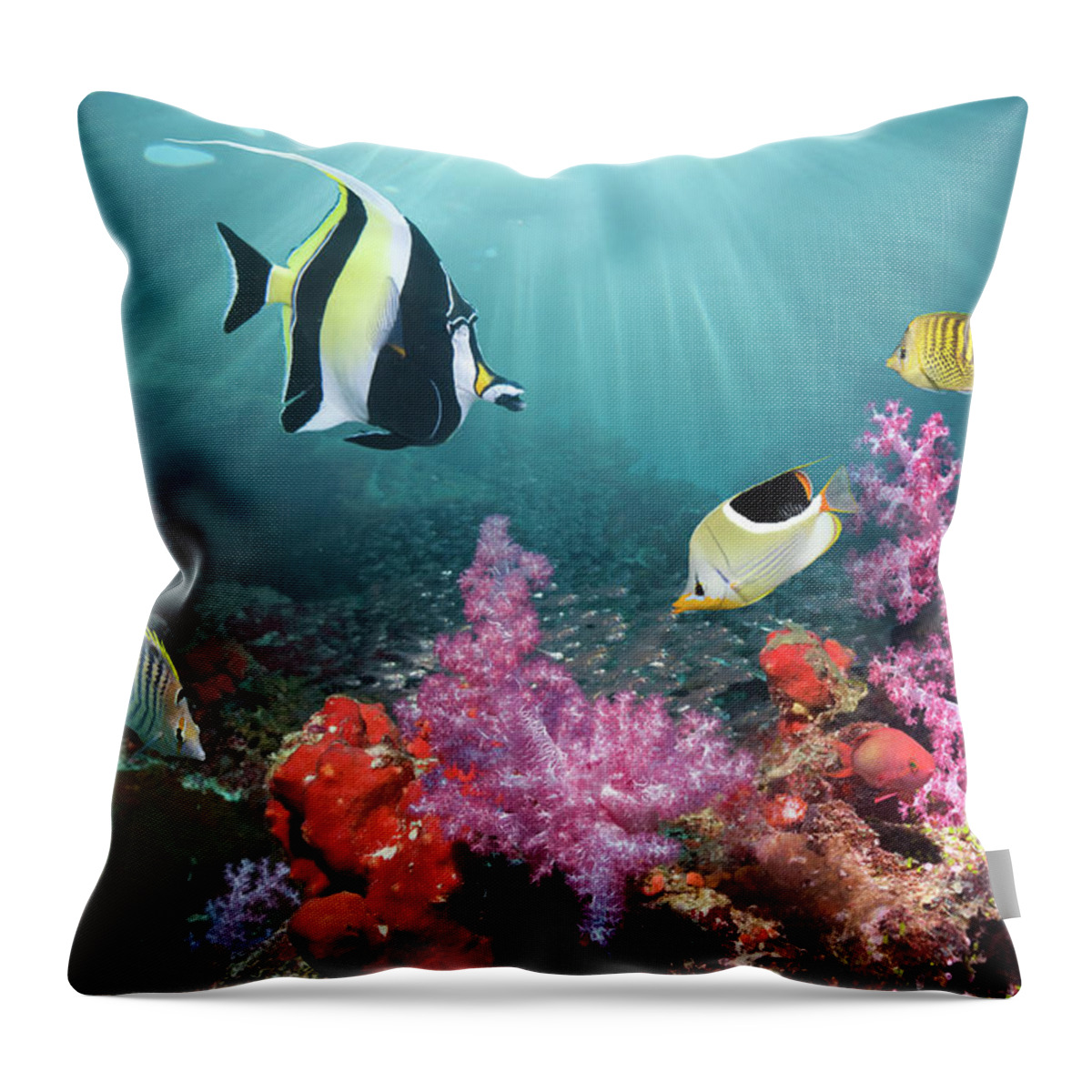 Tranquility Throw Pillow featuring the photograph Coral Reef Scenery #58 by Georgette Douwma