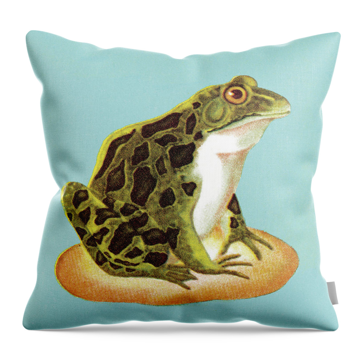 Amphibian Throw Pillow featuring the drawing Toad #6 by CSA Images