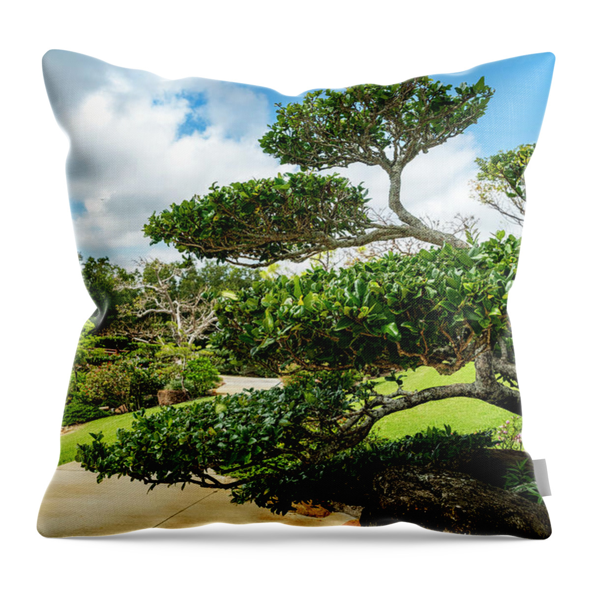 Estock Throw Pillow featuring the digital art Florida, South Florida, Delray Beach, Morikami Japanese Gardens #8 by Laura Zeid