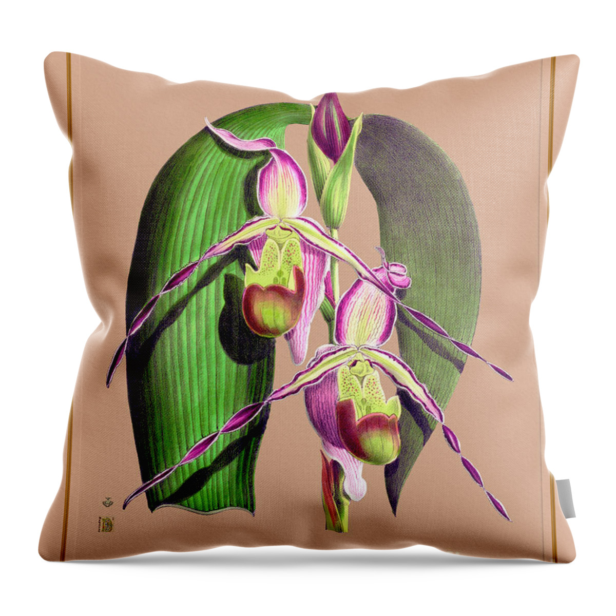 Vintage Throw Pillow featuring the digital art Orchid Flower Orchideae Plantae Vintage #8 by Baptiste Posters
