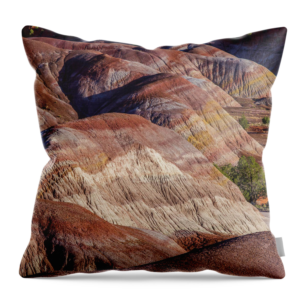 Tranquility Throw Pillow featuring the photograph Sand Stone Rock Formation In Sw Usa #8 by Gavriel Jecan