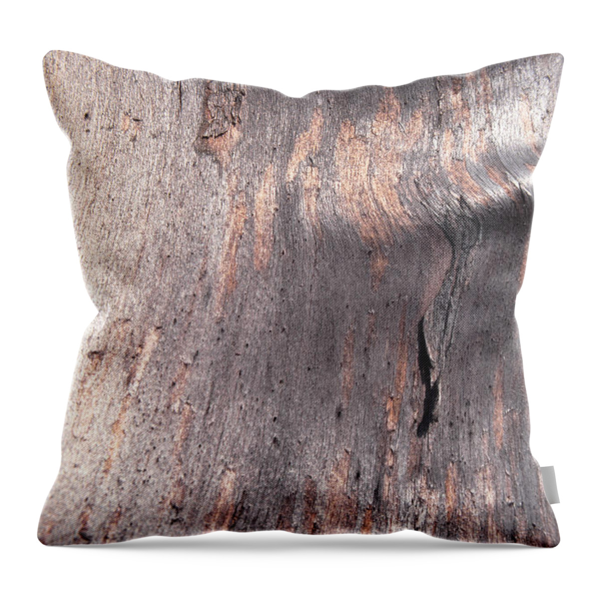 Built Structure Throw Pillow featuring the photograph Tree Bark #8 by John Foxx