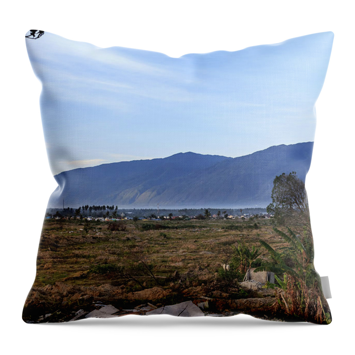  Throw Pillow featuring the photograph A sunny morning at the village petobo lost due to liquefaction #9 by Mangge Totok