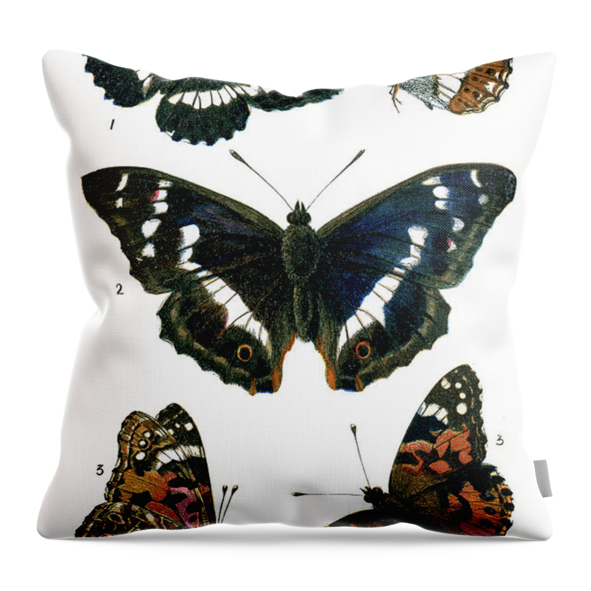 Admiral Butterfly Throw Pillow featuring the digital art Butterflies #9 by Duncan1890