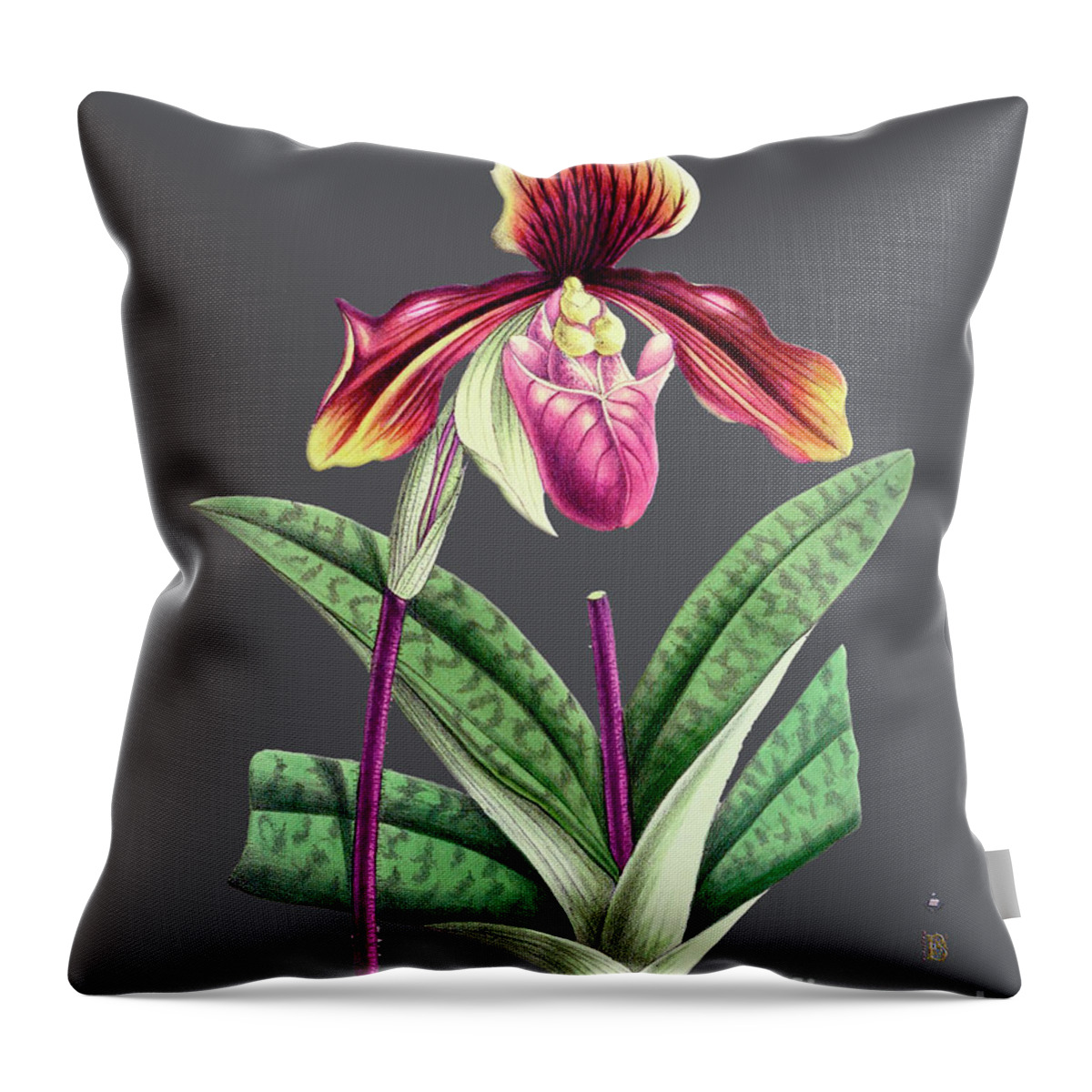Vintage Throw Pillow featuring the digital art Orchid Old Print #10 by Baptiste Posters