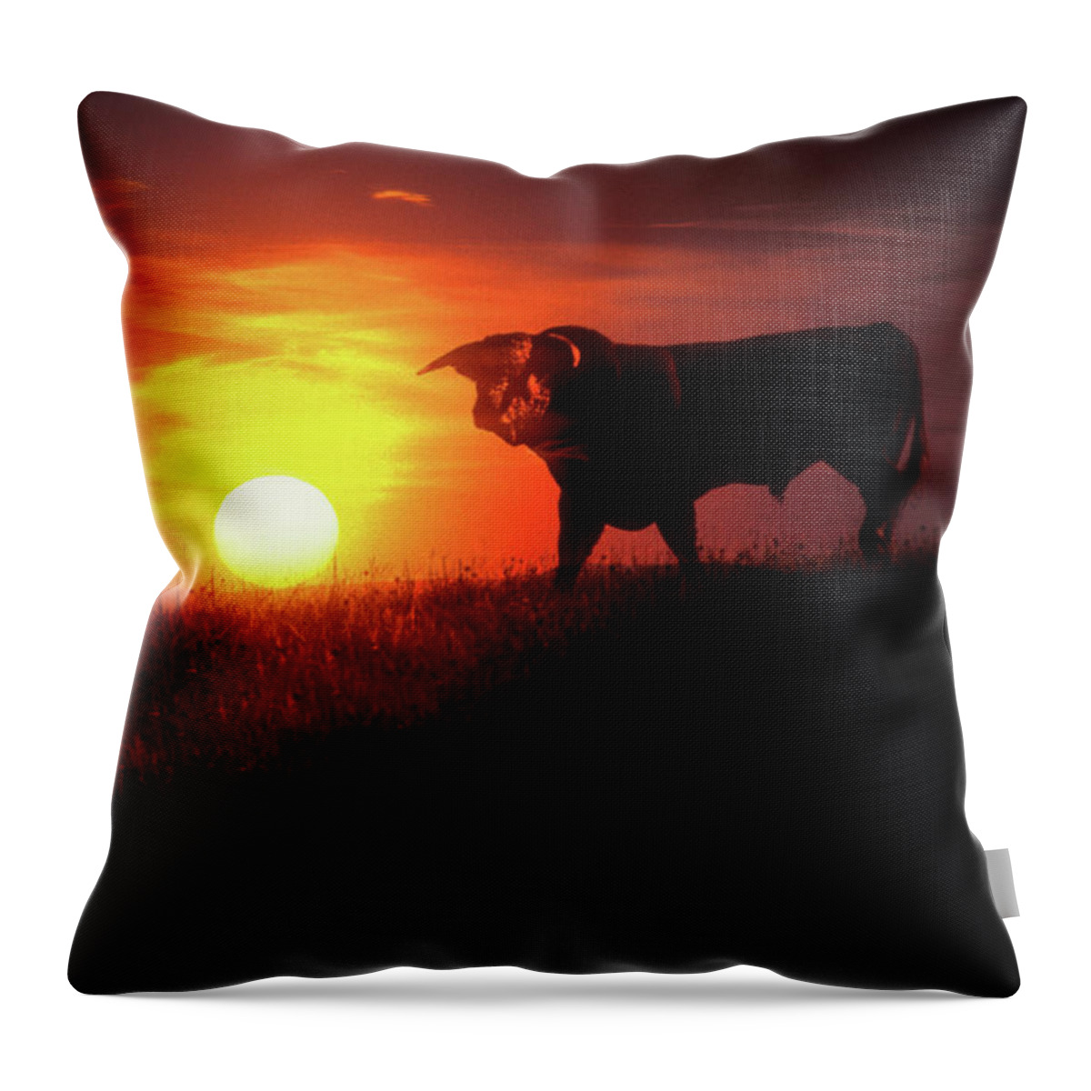 One Animal Throw Pillow featuring the photograph A Bull In A Field At Sunrise by Lyle Leduc