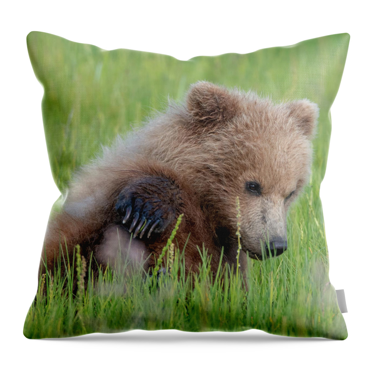 Bear Throw Pillow featuring the photograph A Coy Cub by Mark Hunter