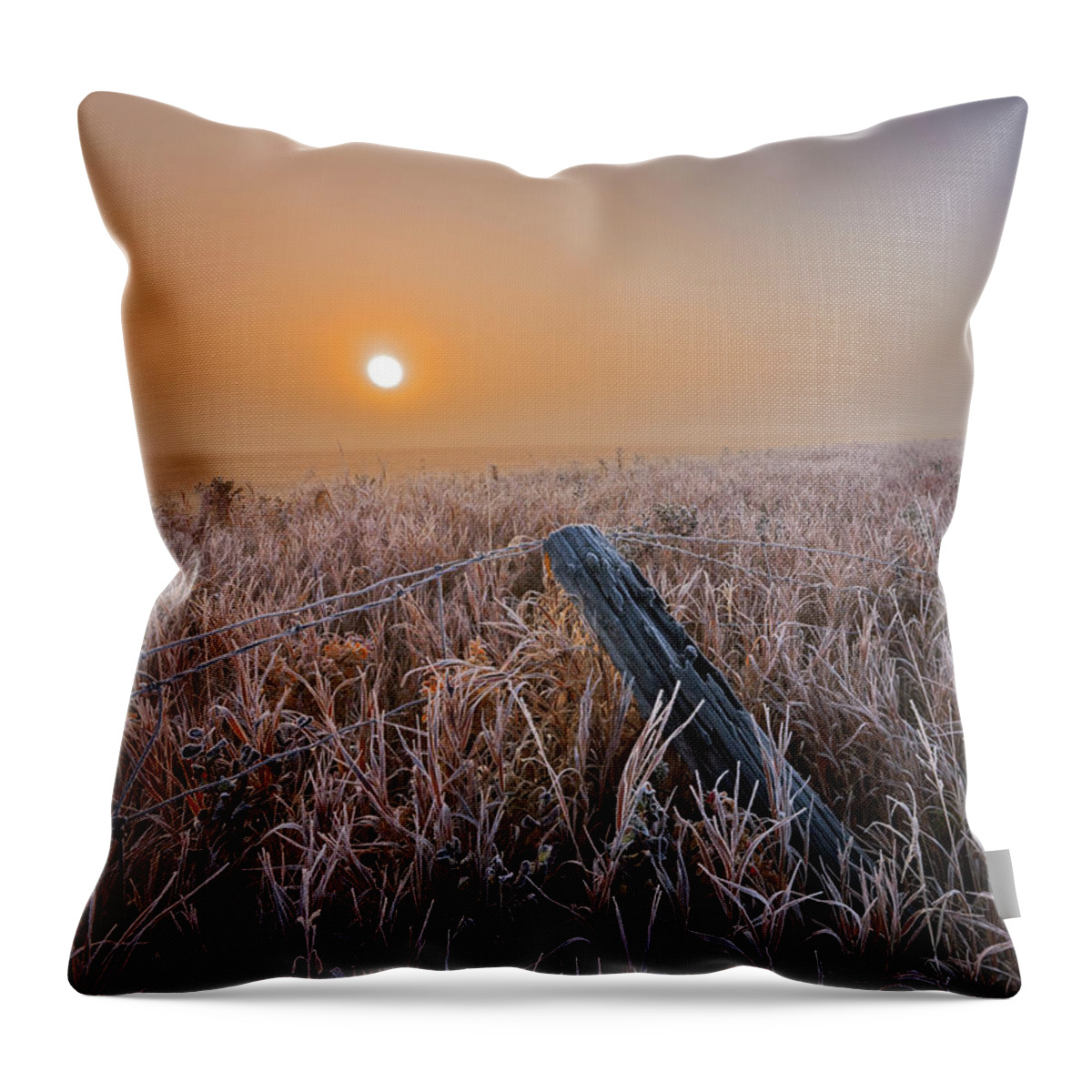 Autumn Throw Pillow featuring the photograph A Crisp October Morning by Dan Jurak