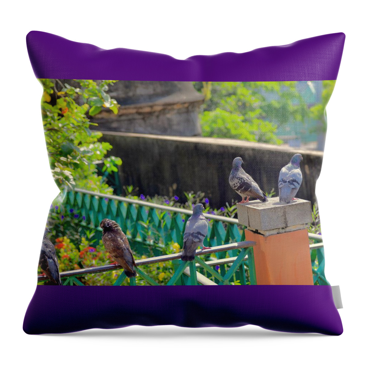 Pigeons Throw Pillow featuring the photograph A Day in the Park by Debra Grace Addison