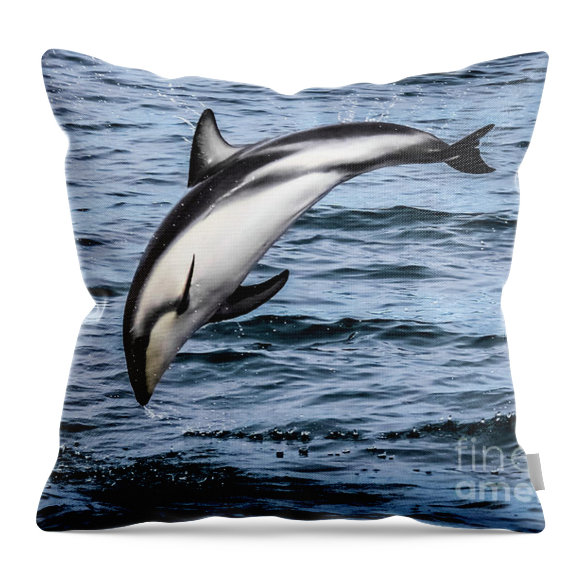 Dolphin Throw Pillow featuring the photograph A dusky dolphin by Lyl Dil Creations