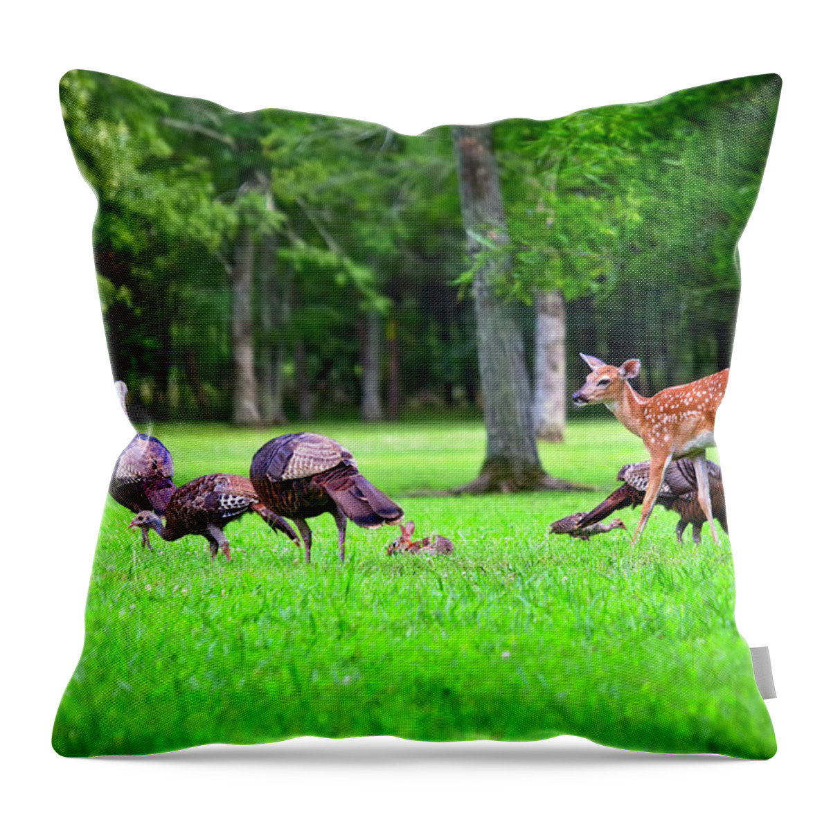 Wild Turkeys Throw Pillow featuring the photograph A Fawn, A Rabbit, And Wild Turkeys by Laura Vilandre