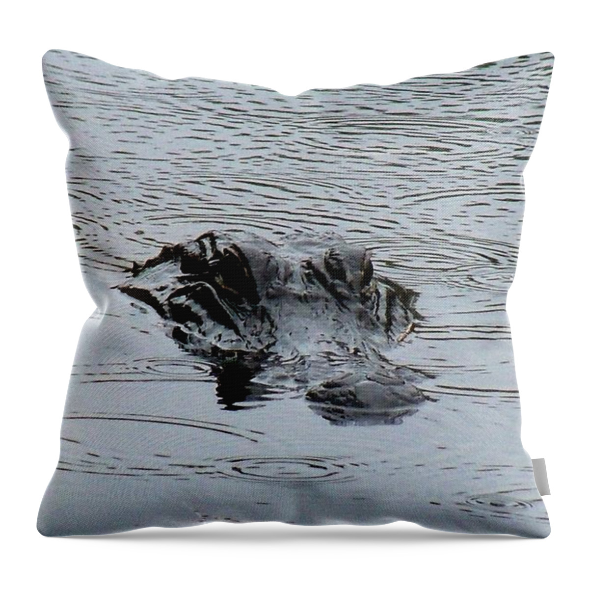 Florida Everglades Throw Pillow featuring the photograph A Glades Gator by Lindsey Floyd