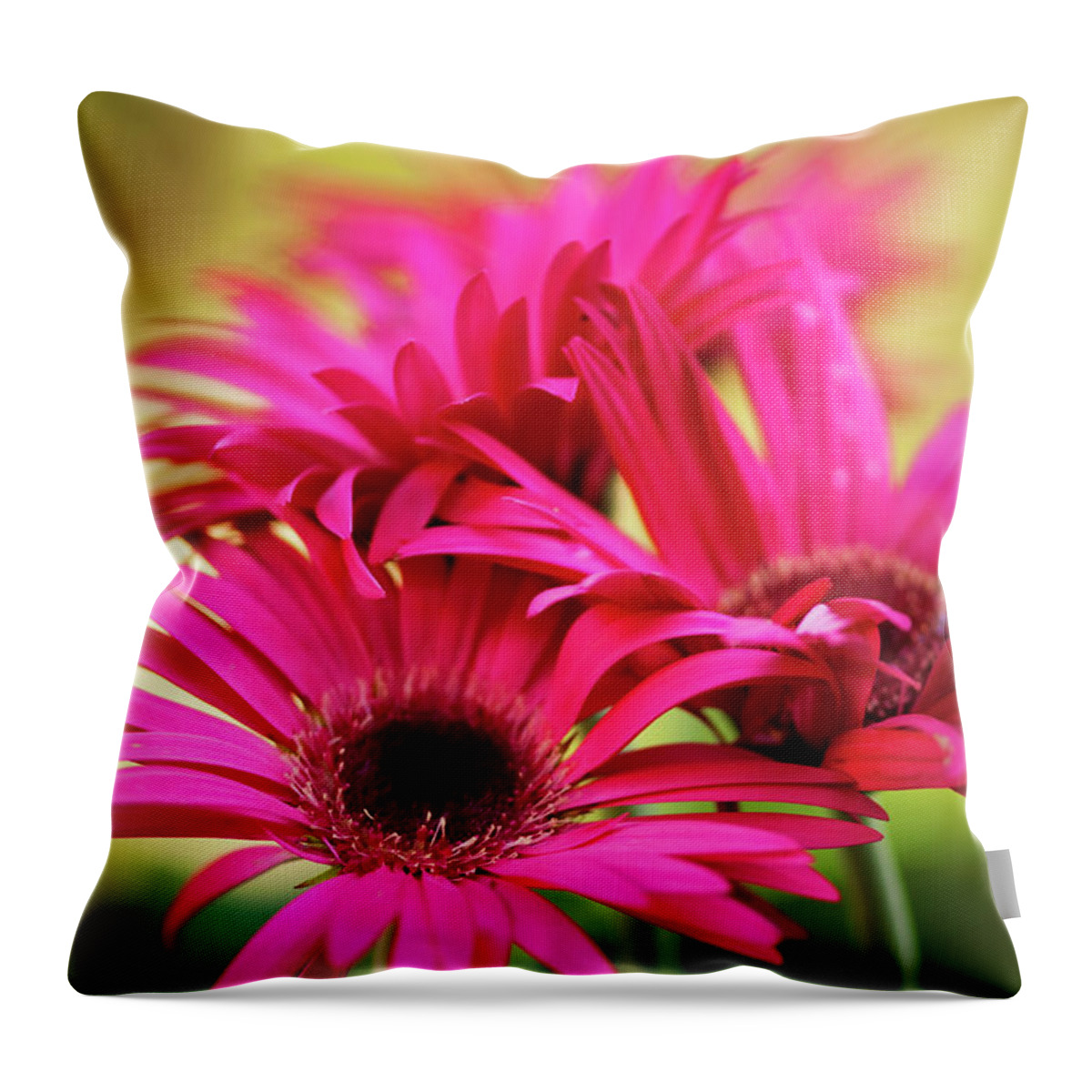 Rockville Throw Pillow featuring the photograph A Group Of Vivid Magenta Pink Gerbera by Maria Mosolova