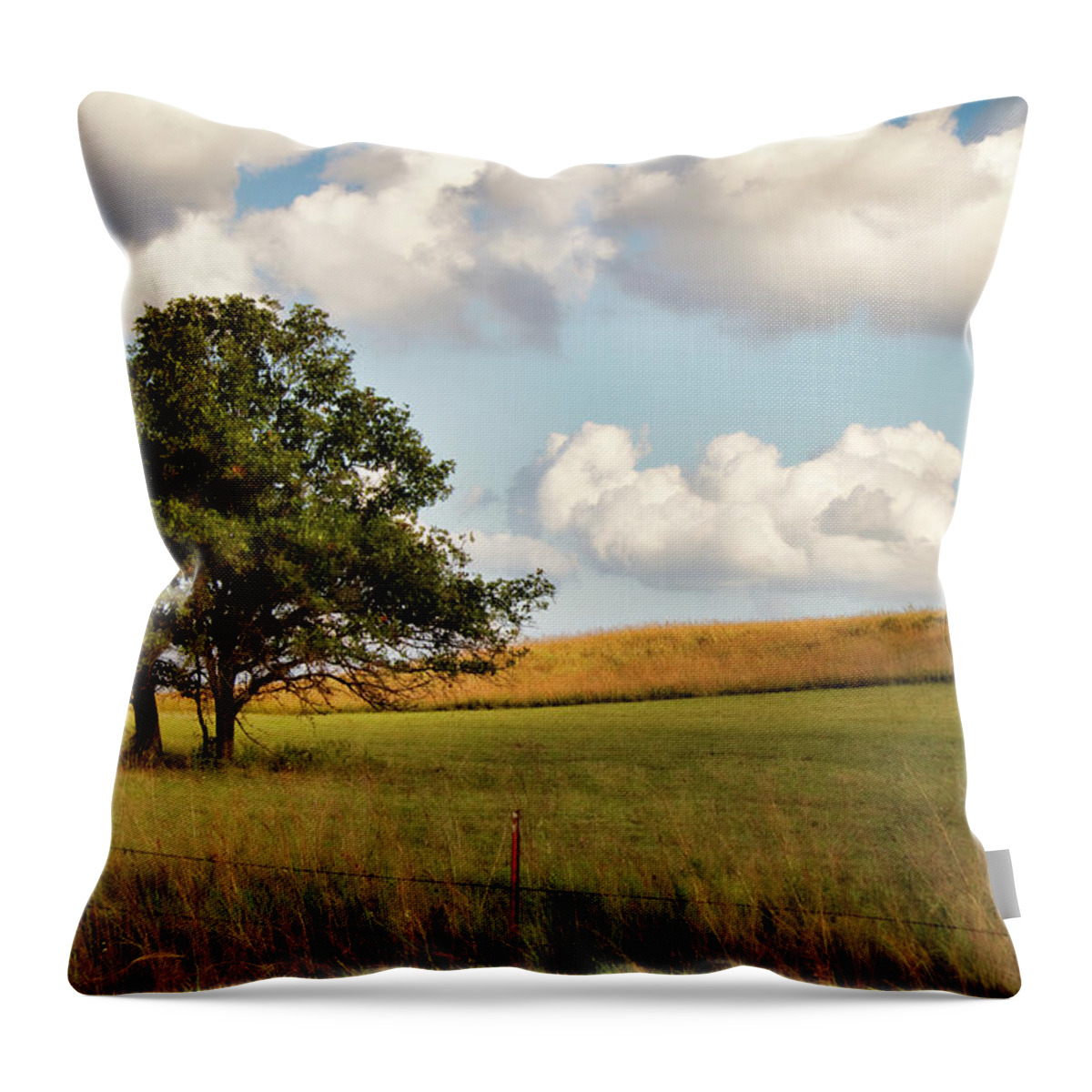 Creek County Throw Pillow featuring the photograph A Little Shade by Lana Trussell
