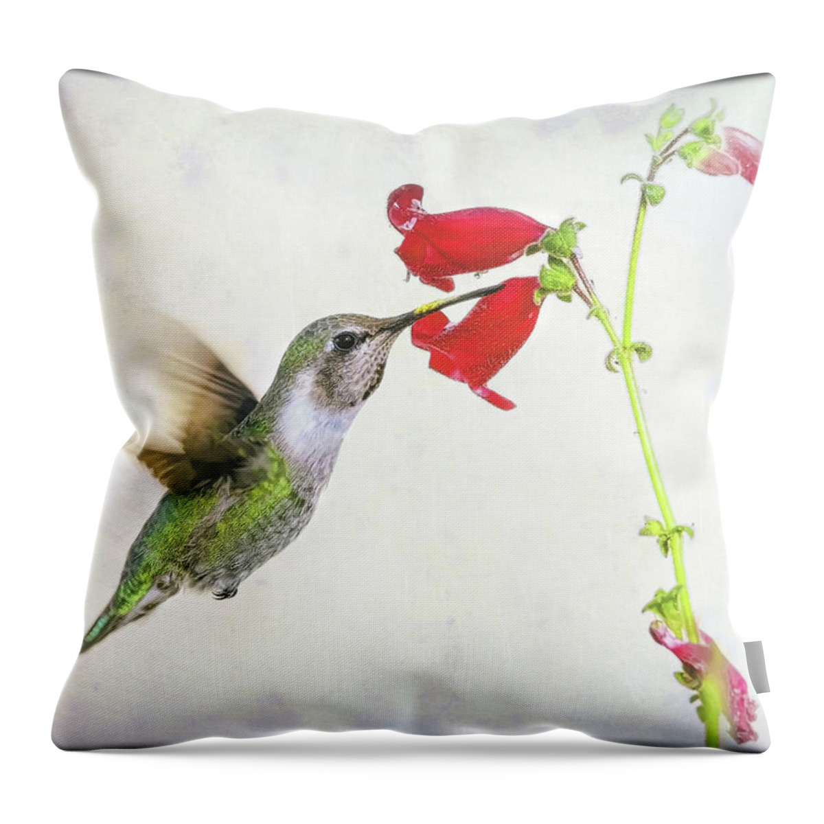 Hummingbirds Throw Pillow featuring the photograph A Moment In Time by Elaine Malott