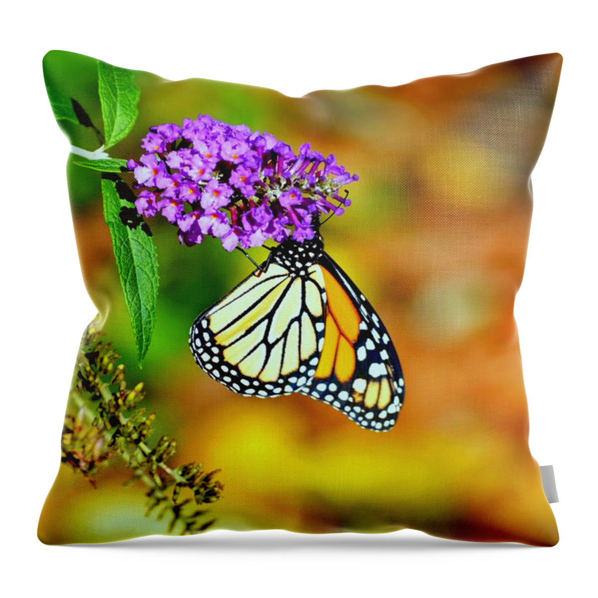 Monarch Butterfly Throw Pillow featuring the photograph A Moment In Time by Marla McPherson