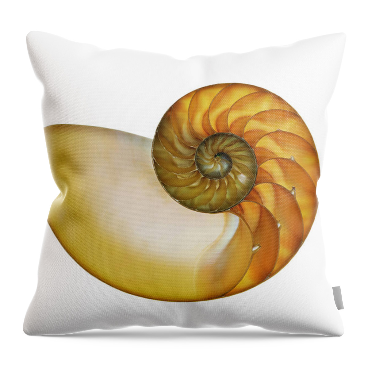 White Background Throw Pillow featuring the photograph A Nautilus Shell Nautilidae Sp by Mike Hill