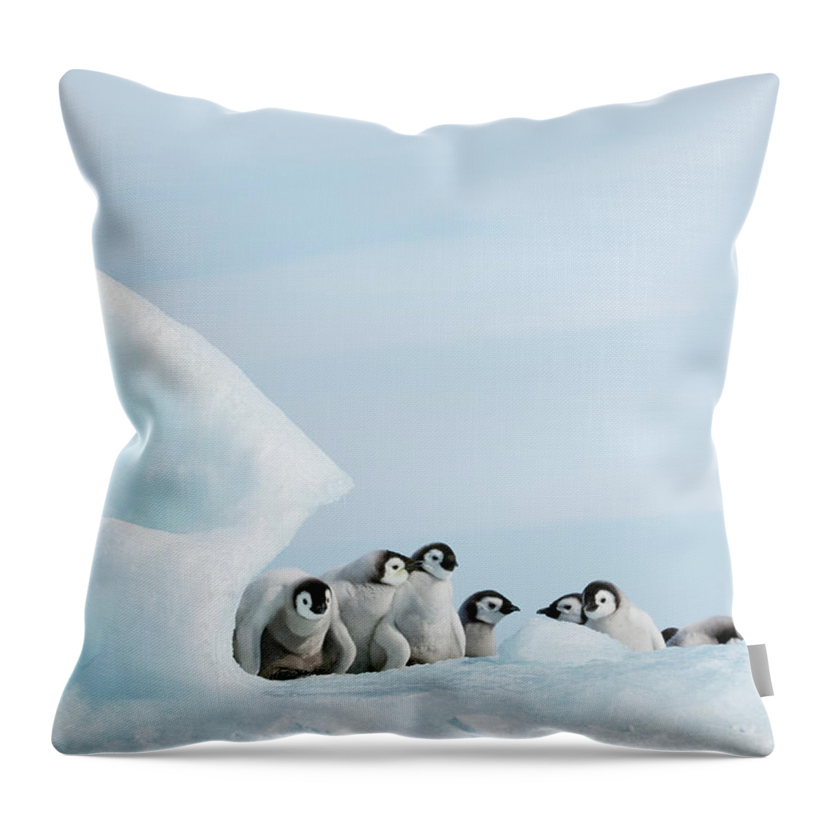 Emperor Penguin Throw Pillow featuring the photograph A Nursery Group Of Young Penguin by Mint Images - David Schultz