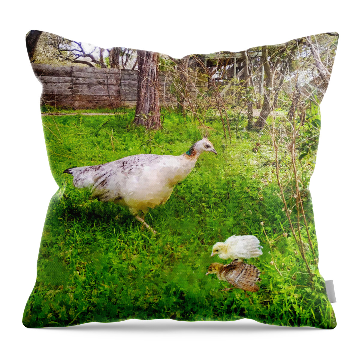 Peahen Throw Pillow featuring the photograph A Peahen And Her Chicks by Sandi OReilly