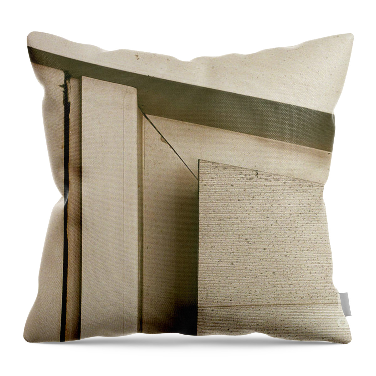 Pattern Throw Pillow featuring the photograph A Piece of the Puzzle by Ana V Ramirez
