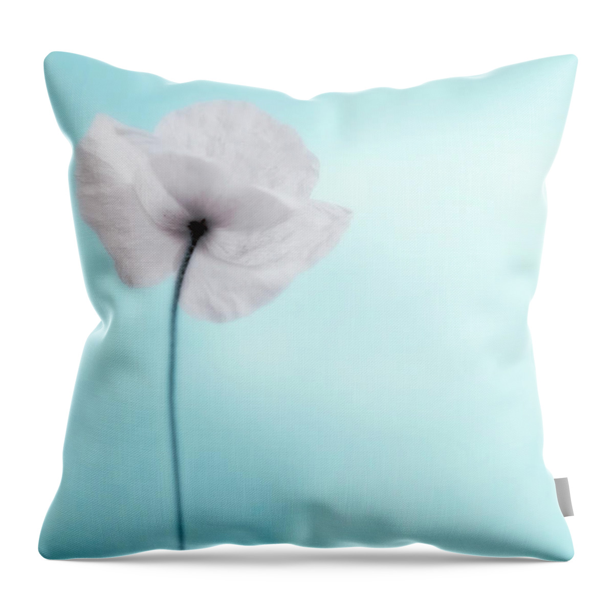 Desaturated Throw Pillow featuring the photograph A Poppy Against A Cool Blue Background by Alexandre Fp