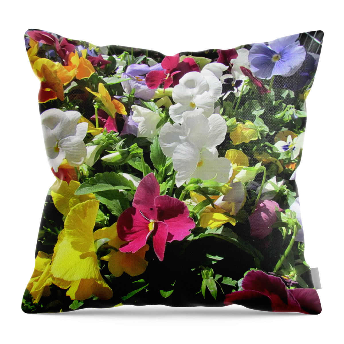 Flowers Throw Pillow featuring the photograph A Pot of Pansies by Boyd Carter