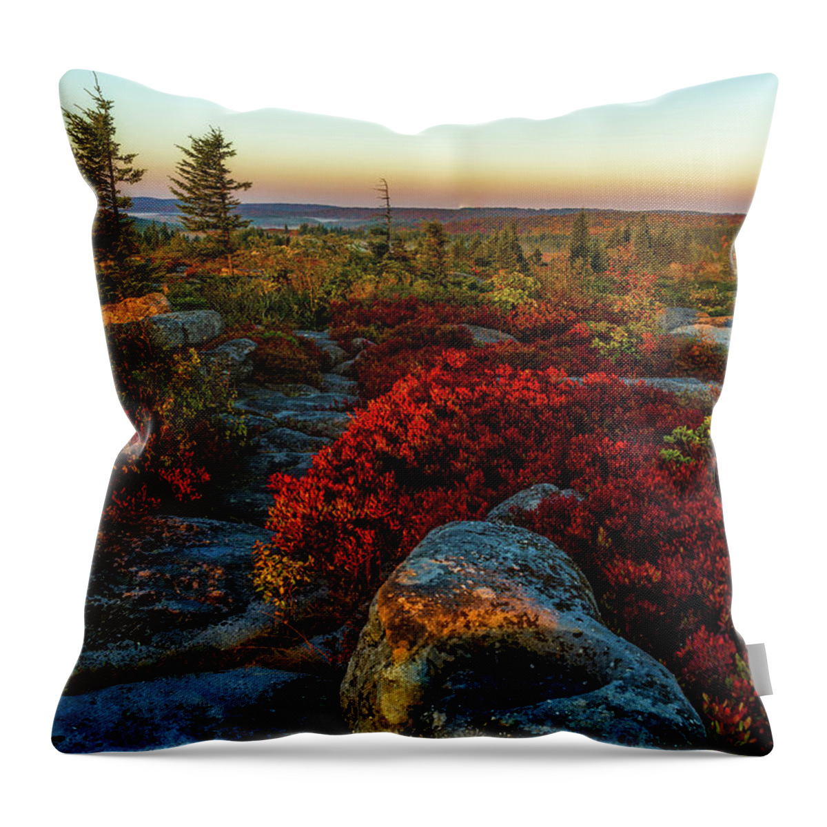 Bear Rocks Preserve Throw Pillow featuring the photograph A Rainbow of Fall Color at Dolly Sods by Lori Coleman
