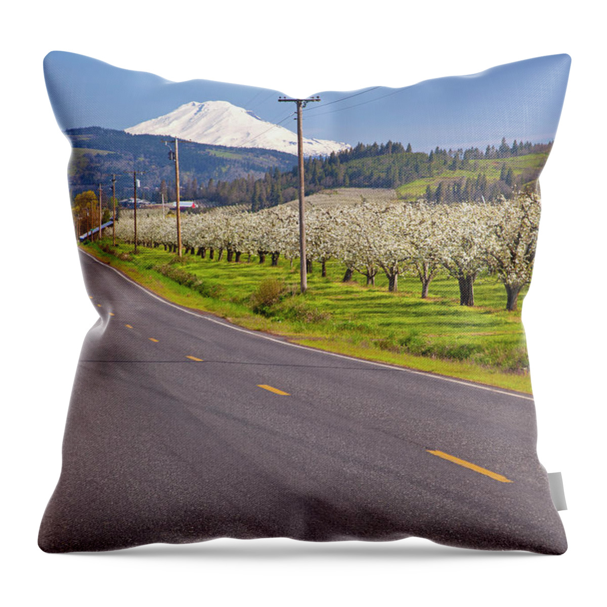 Scenics Throw Pillow featuring the photograph A Road Leading Toward Mount Hood In by Design Pics / Craig Tuttle