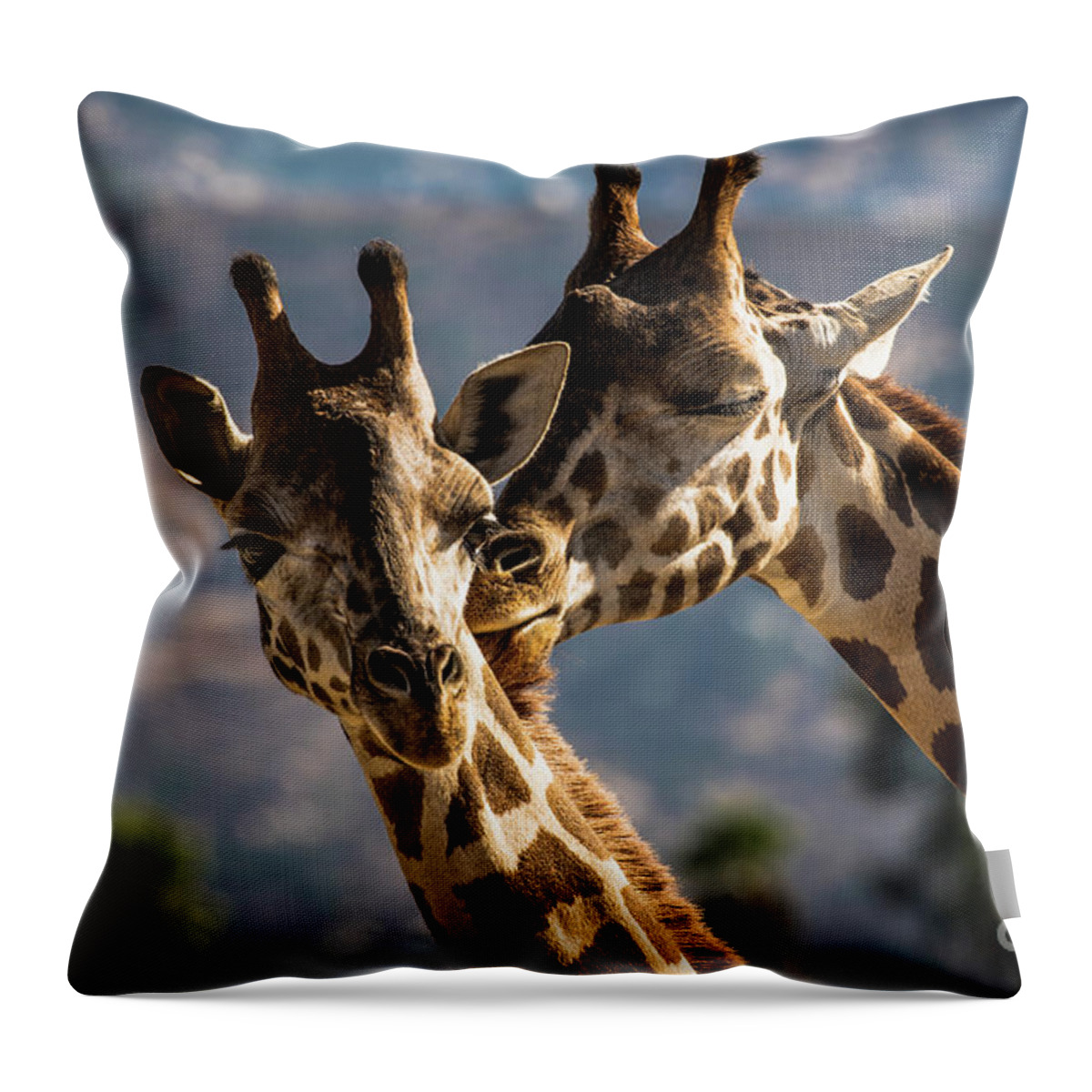  Throw Pillow featuring the photograph A Romantic Moment by Julian Starks