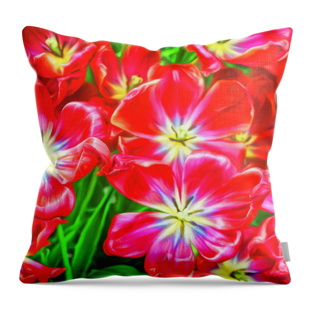 Tulips Throw Pillow featuring the photograph A Sea of Brilliant Red Tulips by Sue Melvin