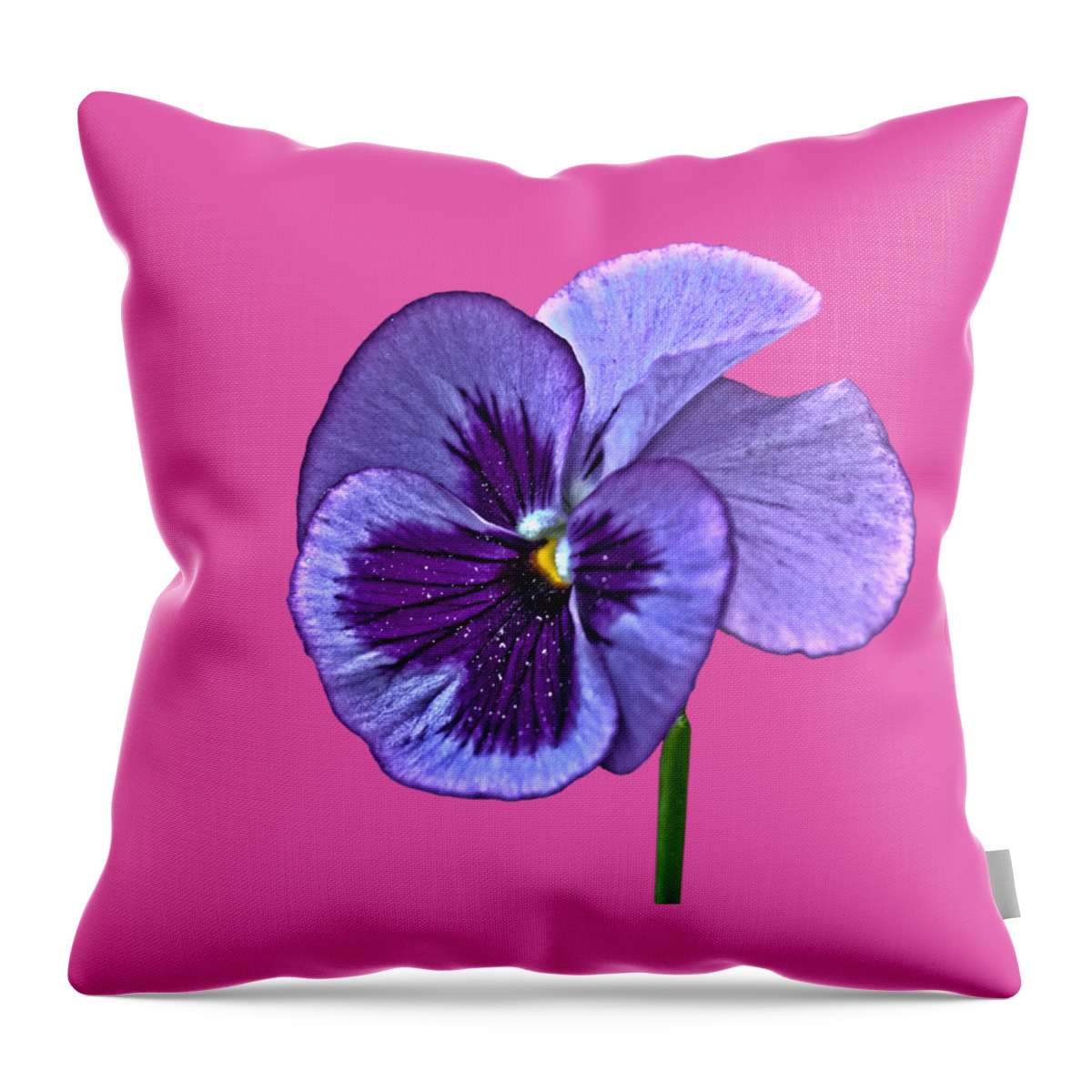 Purple Throw Pillow featuring the photograph A Single Purple Pansy on a transparent background by Terri Waters