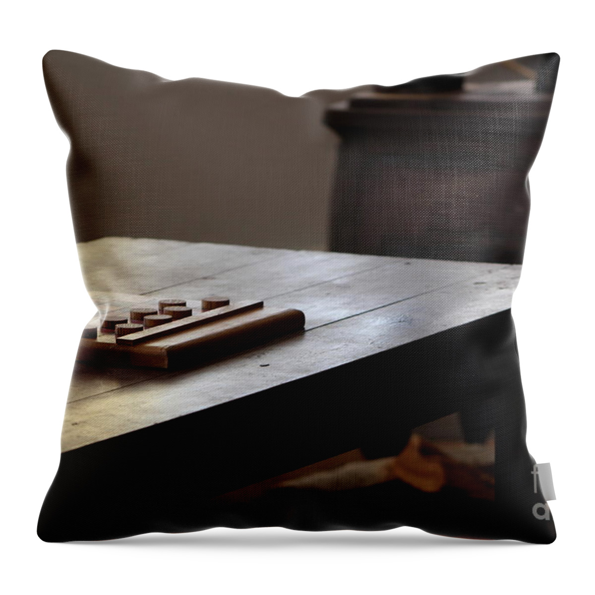 Tawny Throw Pillow featuring the photograph A Thinking Man's Game Fort Stanton New Mexico by Colleen Cornelius