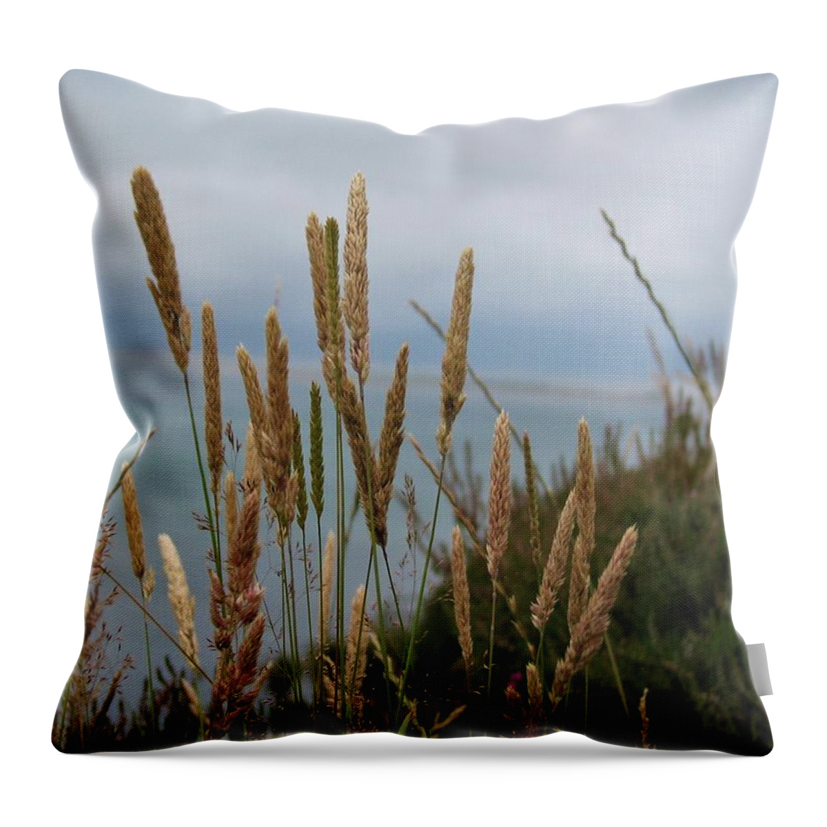 Ring Of Kerry Throw Pillow featuring the photograph A View From The Ring of Kerry by Joan Stratton