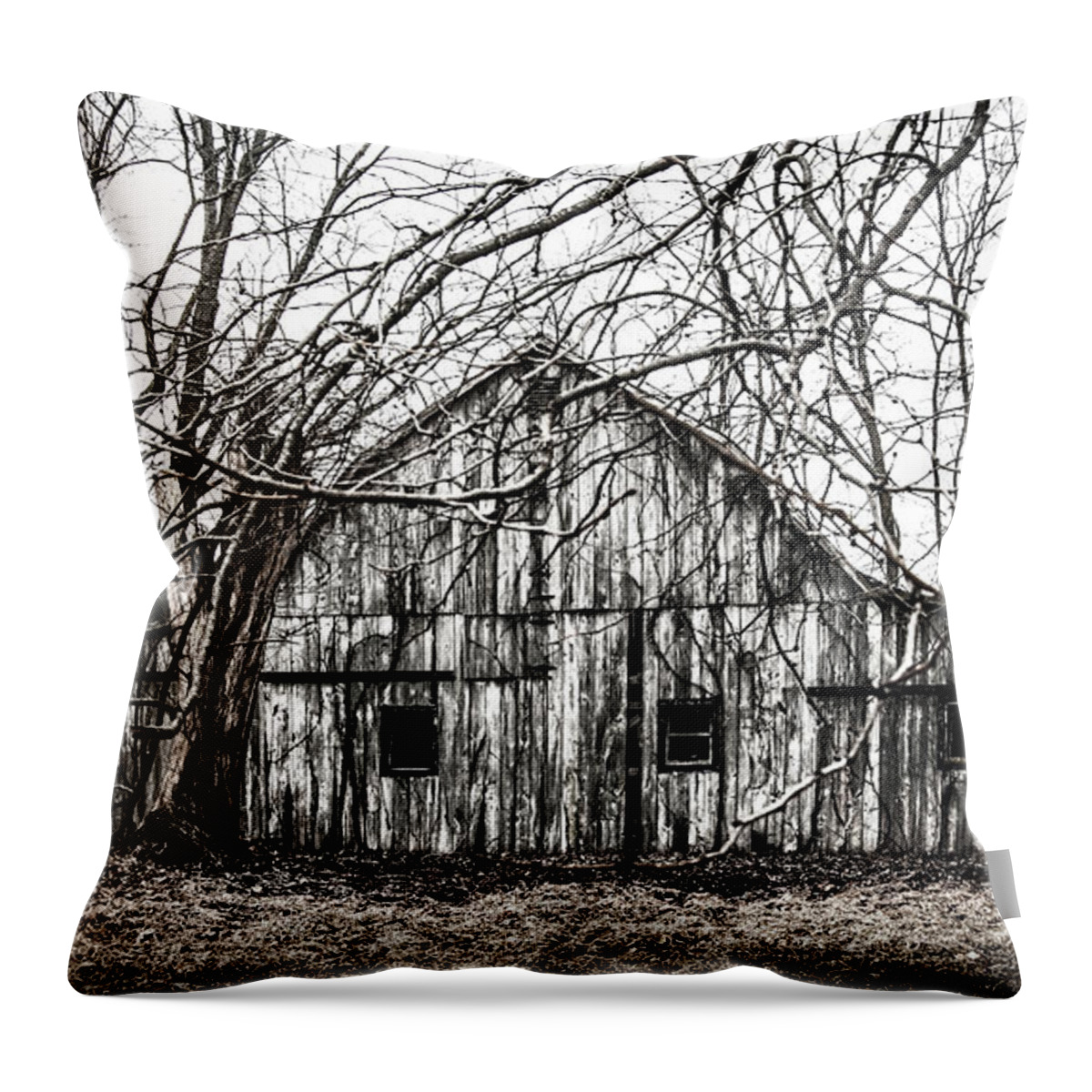 Barn Throw Pillow featuring the photograph Abandoned Barn Highway 6 V2 by Michael Arend