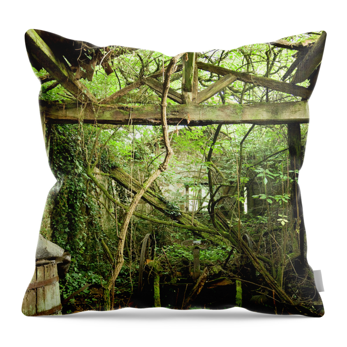 Horror Throw Pillow featuring the photograph Abandonment by Digiclicks
