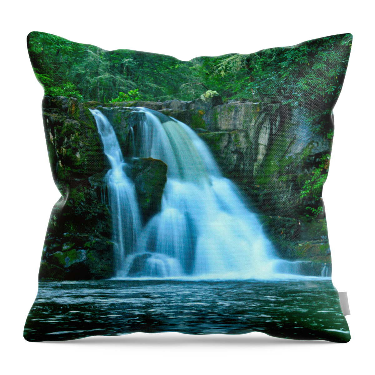Art Prints Throw Pillow featuring the photograph Abrams Falls by Nunweiler Photography