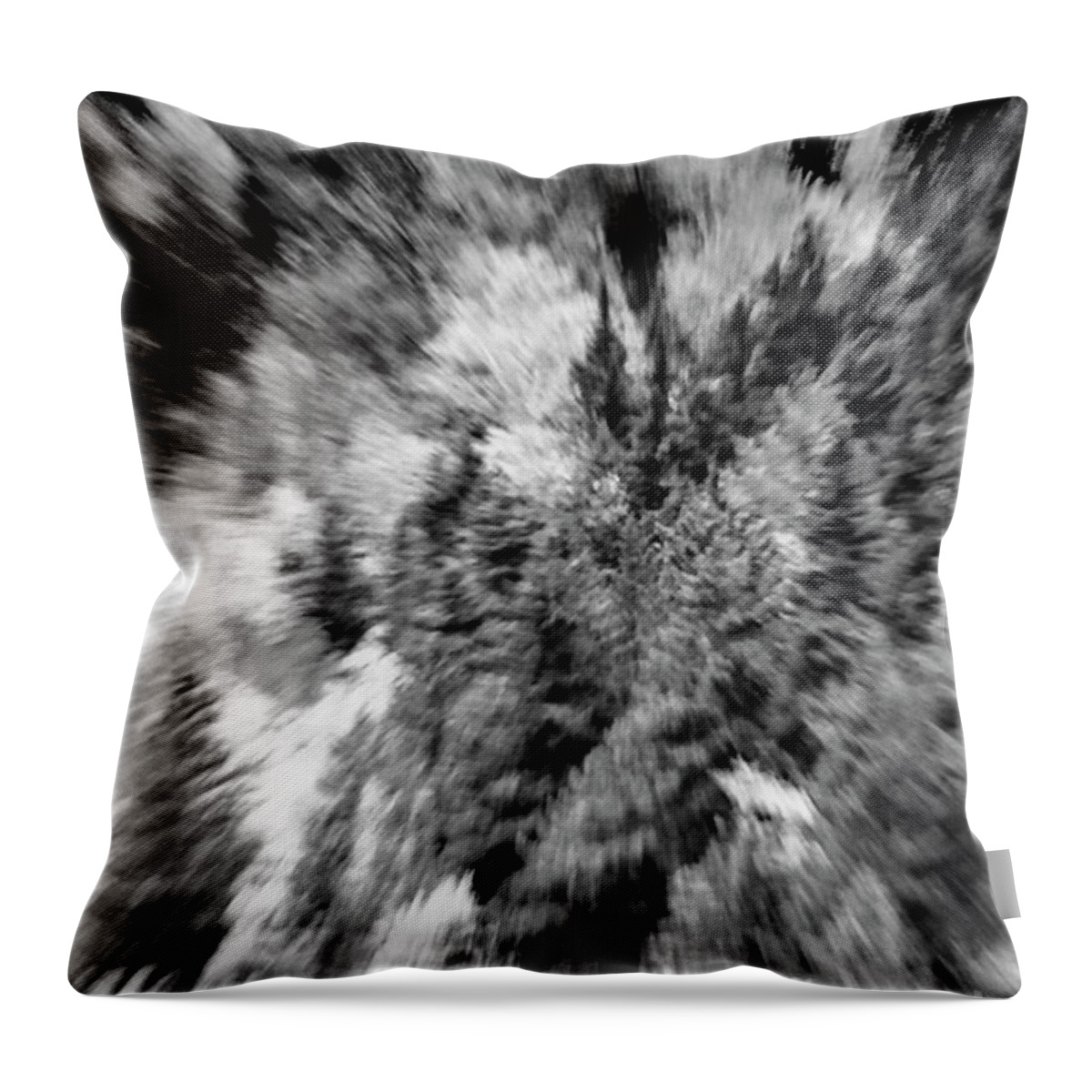 Abstract Throw Pillow featuring the photograph Abstract Forest Photography 5501e3 by Ricardos Creations
