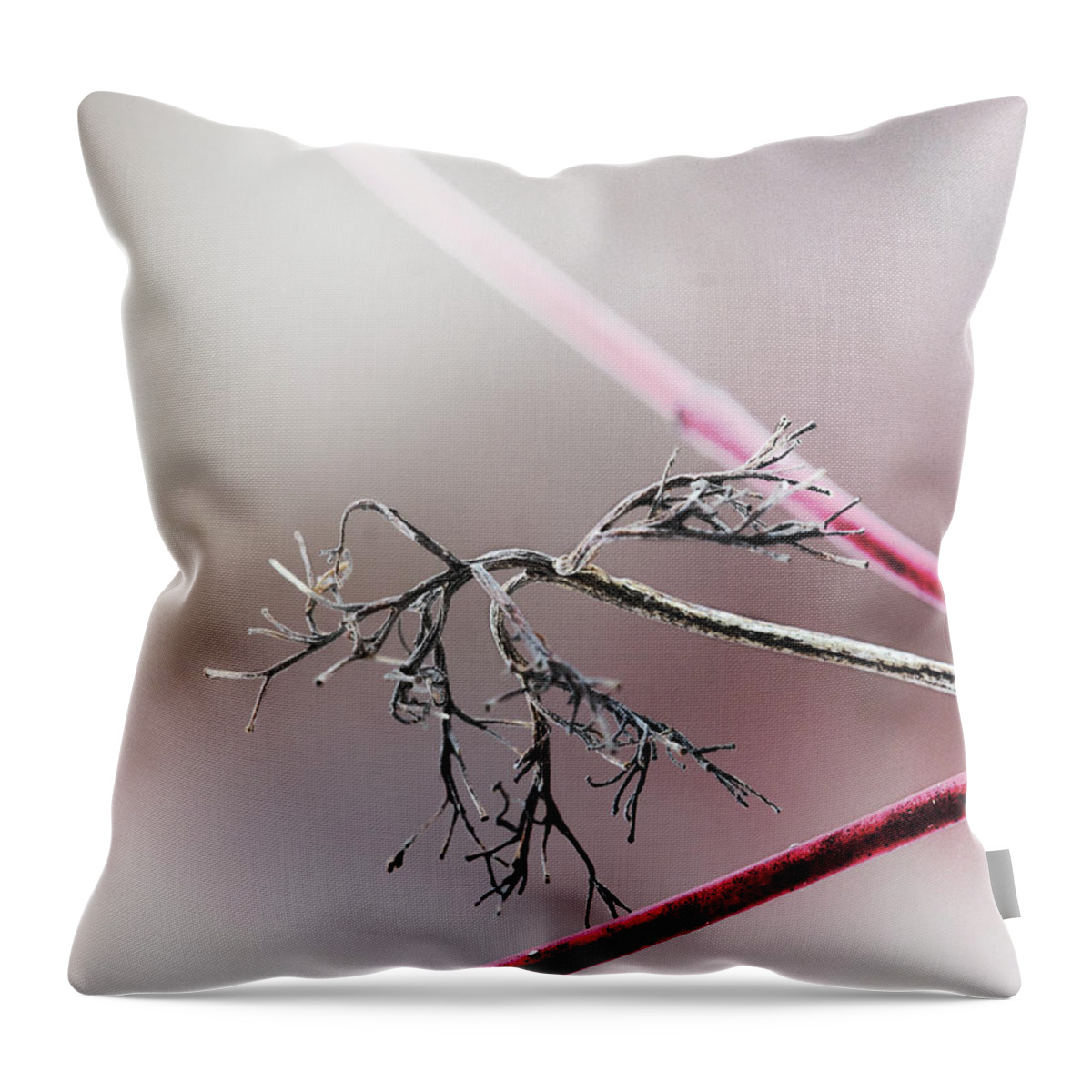 Dogwood Throw Pillow featuring the photograph Accent On Reds by Sue Capuano