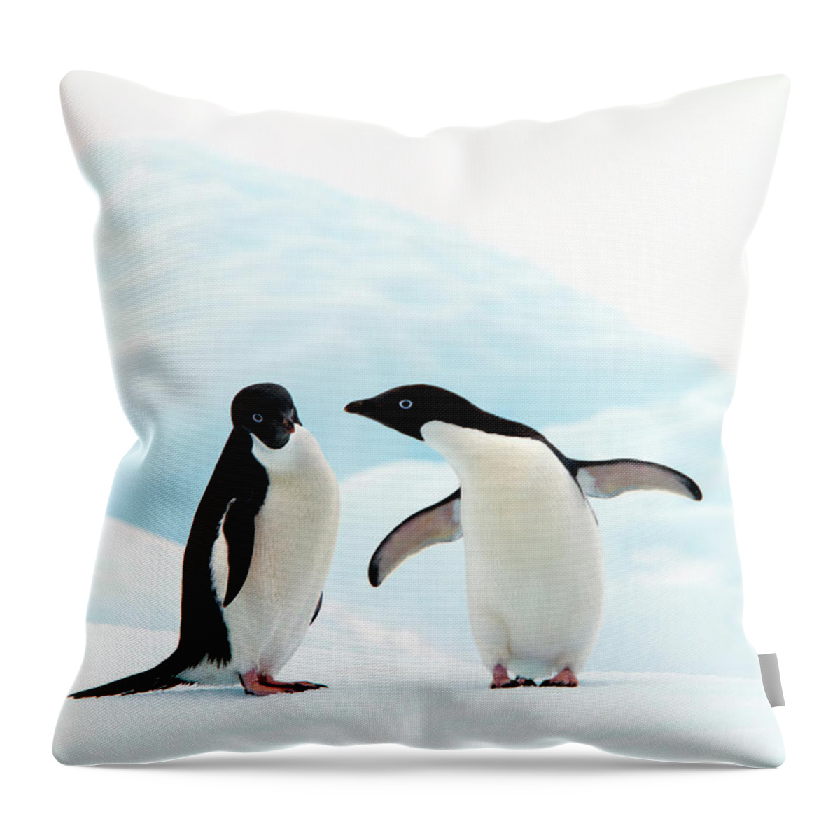 Animal Themes Throw Pillow featuring the photograph Adélie Penguins by Angelika Stern