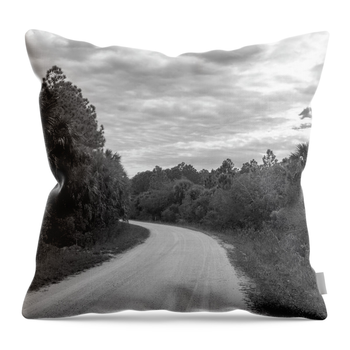 Florida Throw Pillow featuring the photograph Adventure Awaits Around the Bend by Robert Wilder Jr