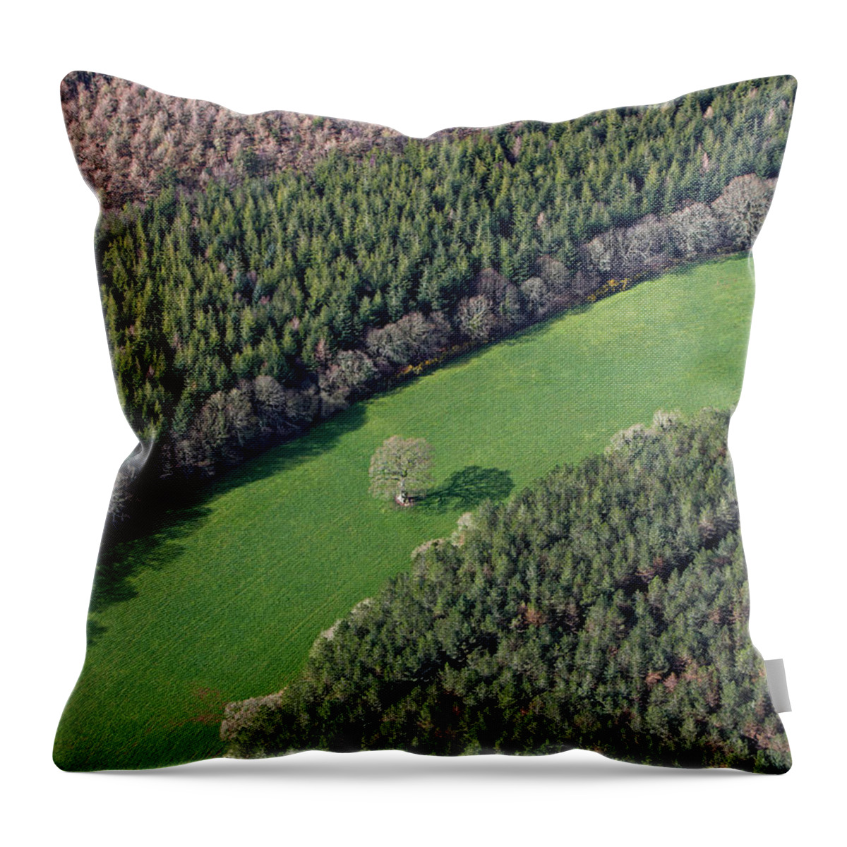 Shadow Throw Pillow featuring the photograph Aerial View Of Forest by Allan Baxter