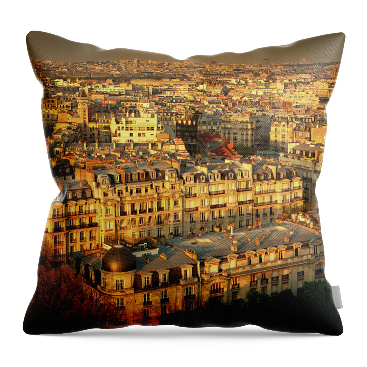 Scenics Throw Pillow featuring the photograph Aerial View Of Paris by Nikada