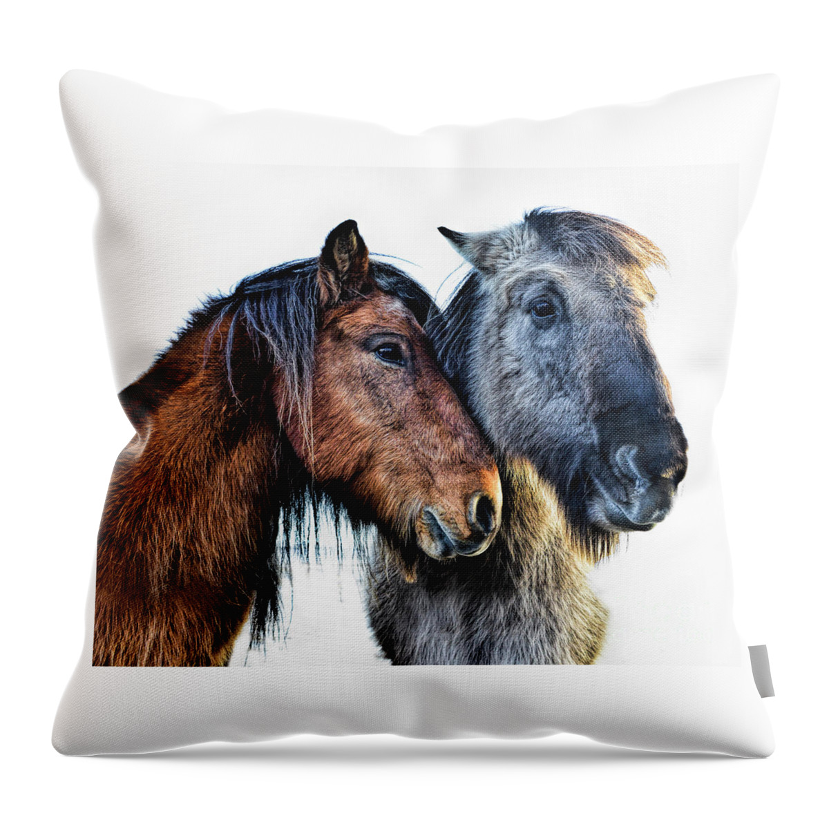 Affection Throw Pillow featuring the photograph Affection by Diane LaPreta