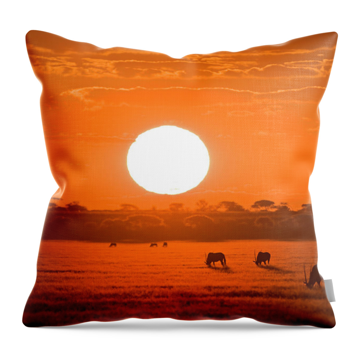 Tranquility Throw Pillow featuring the photograph Africa, Botswana, Silhouette Of Gemsbok by Westend61