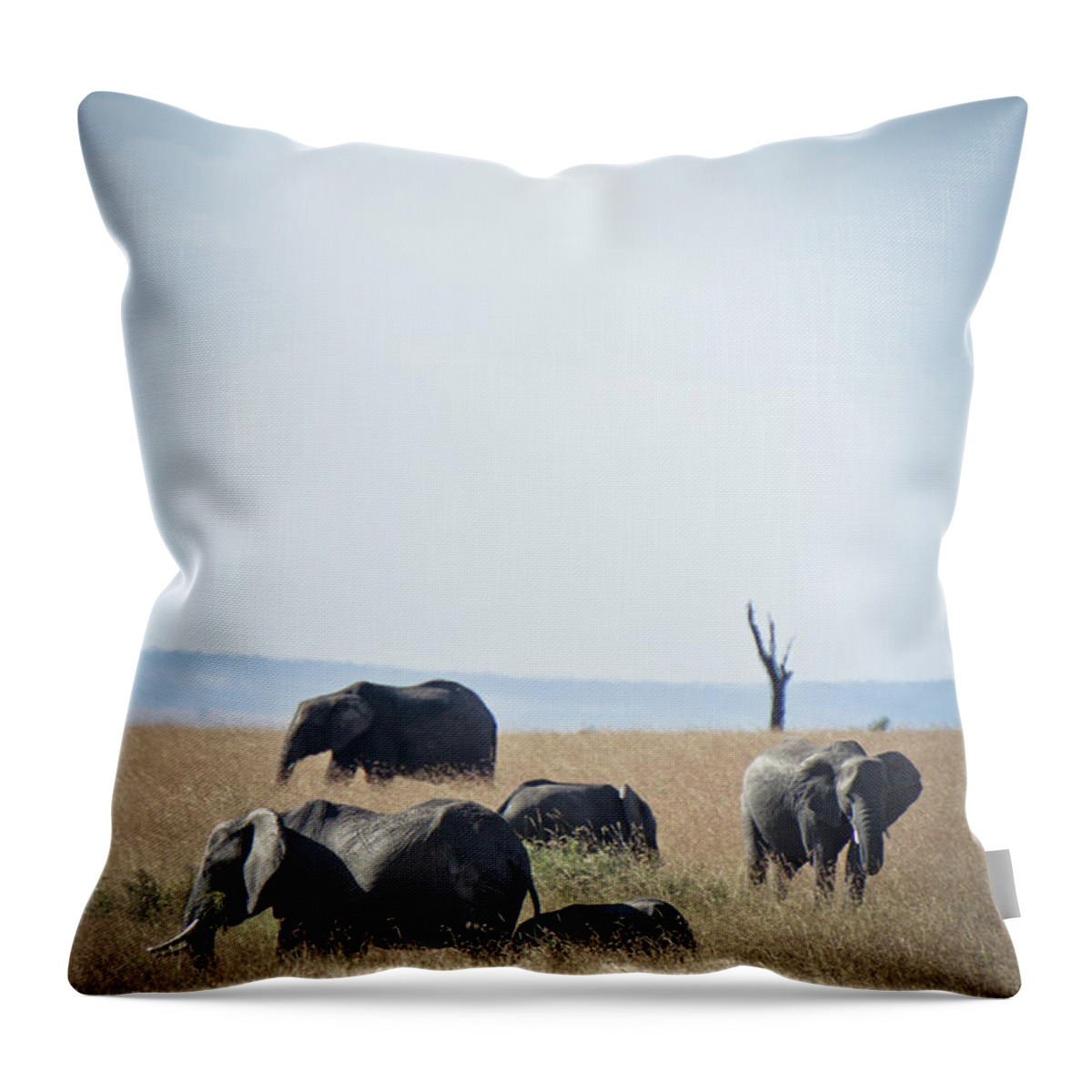 Kenya Throw Pillow featuring the photograph African Elephant by Meshaphoto