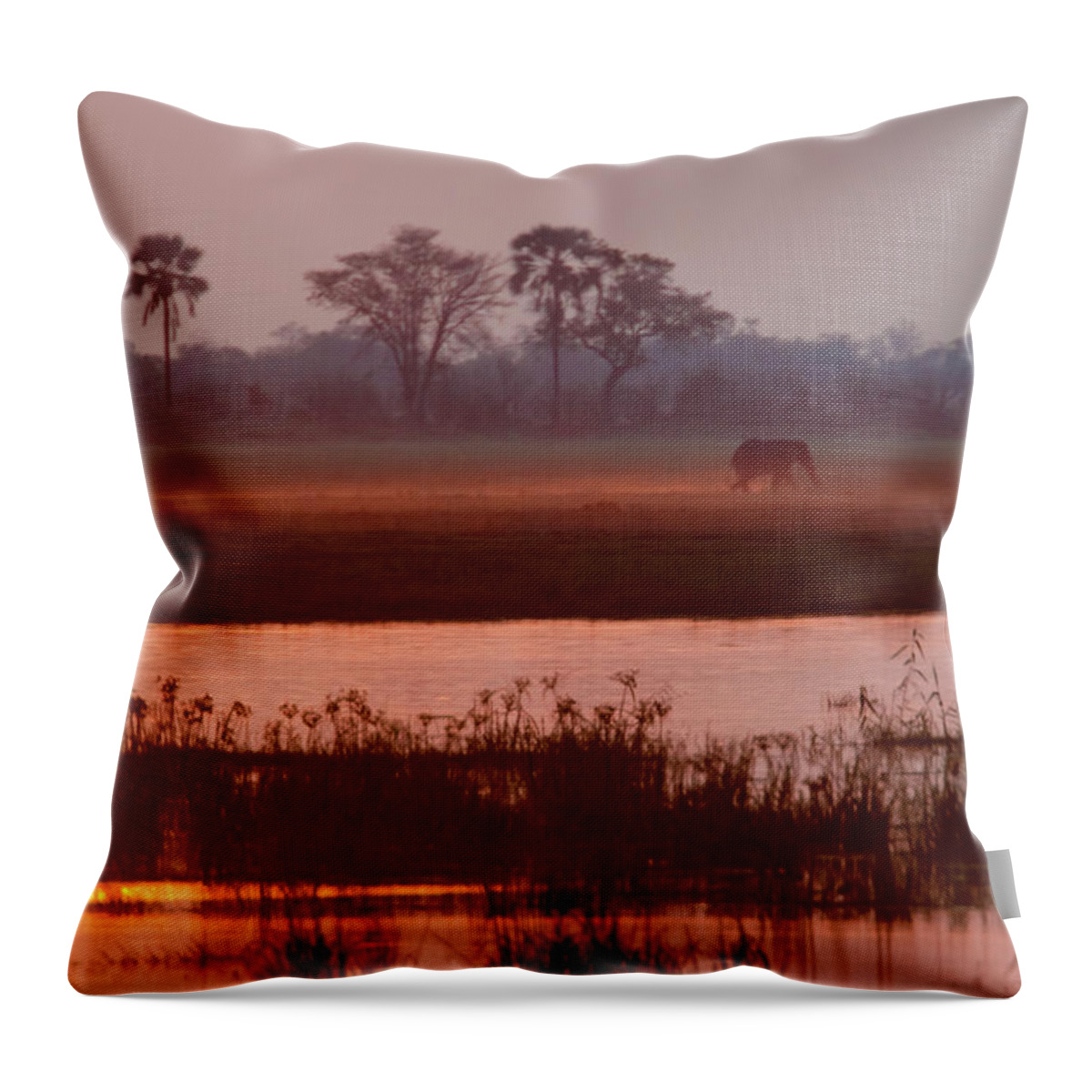 Botswana Throw Pillow featuring the photograph African Elephant, Okavango Delta by Mint Images/ Art Wolfe