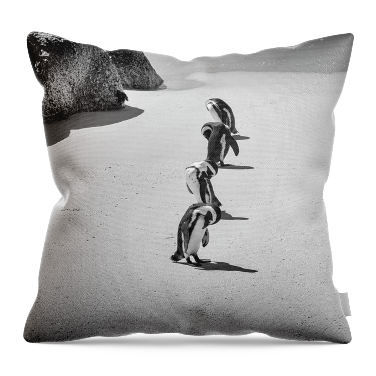 Water's Edge Throw Pillow featuring the photograph African Penguins Line Up by Read Also kirsteins Shutter Bug At Larskirstein.com